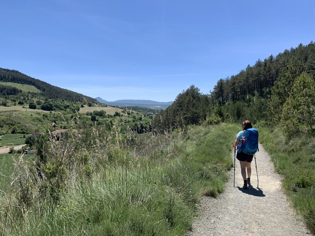 Tekstschrijver Maaike van den Bosch-blog-Wandel Magazine-camino Francés-2