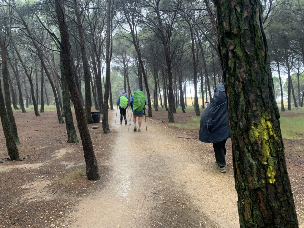 Tekstschrijver-Maaike-van-den-Bosch-blog-Wandel-Magazine-camino-Frances-4