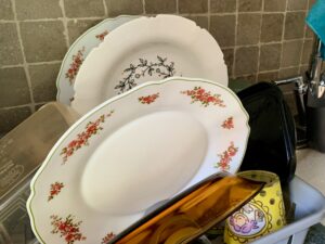 Tekstschrijver-Maaike van den Bosch-Column-Vieze vaat