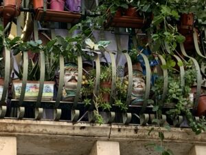 Teste di Moro, Sicilie